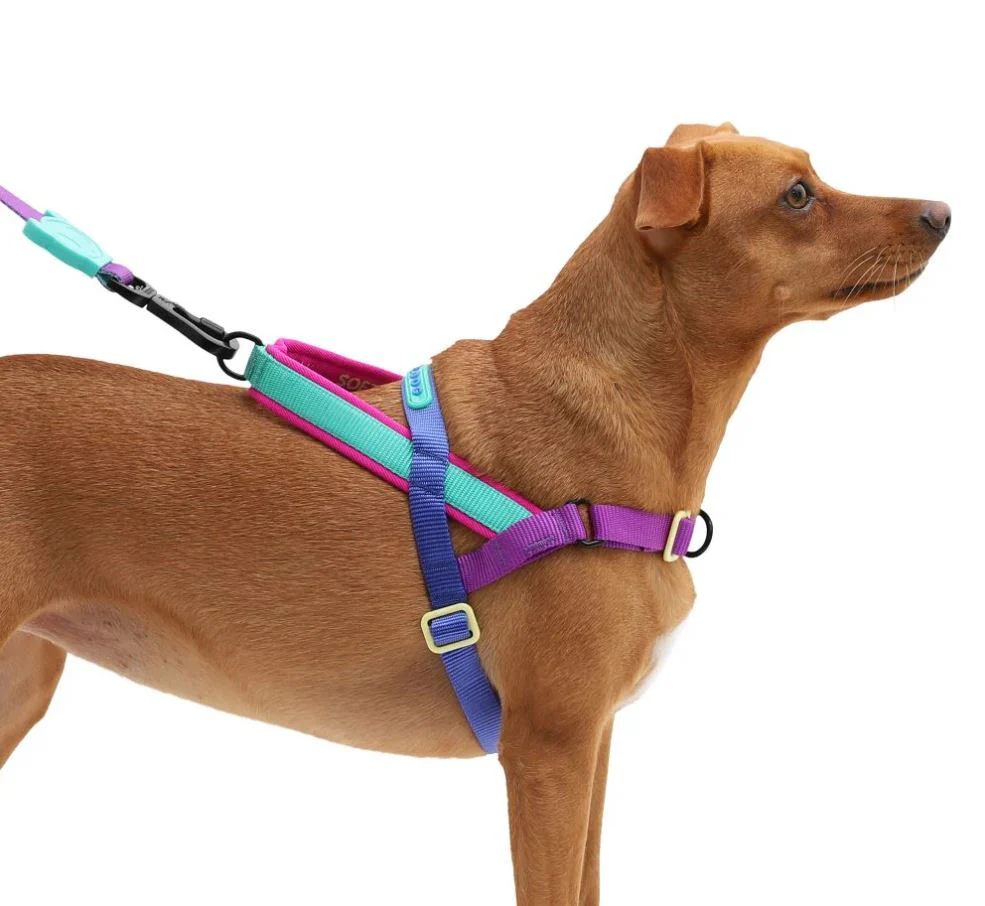 Arnés para Perro ZEEDOG SofterWalk Shockwave - Imagen 4