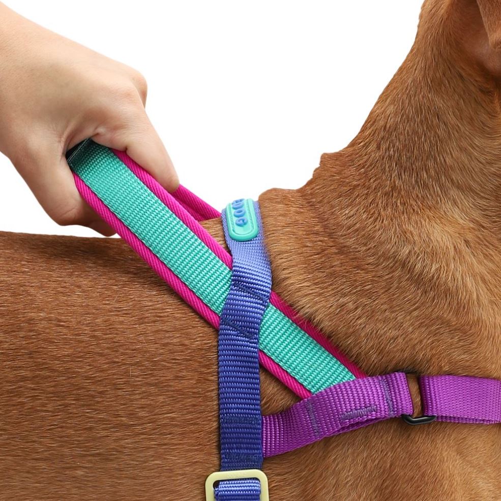 Arnés para Perro ZEEDOG SofterWalk Shockwave - Imagen 3